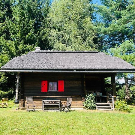 Cozy Log Cabin near Faaker See Ledenitzen Buitenkant foto