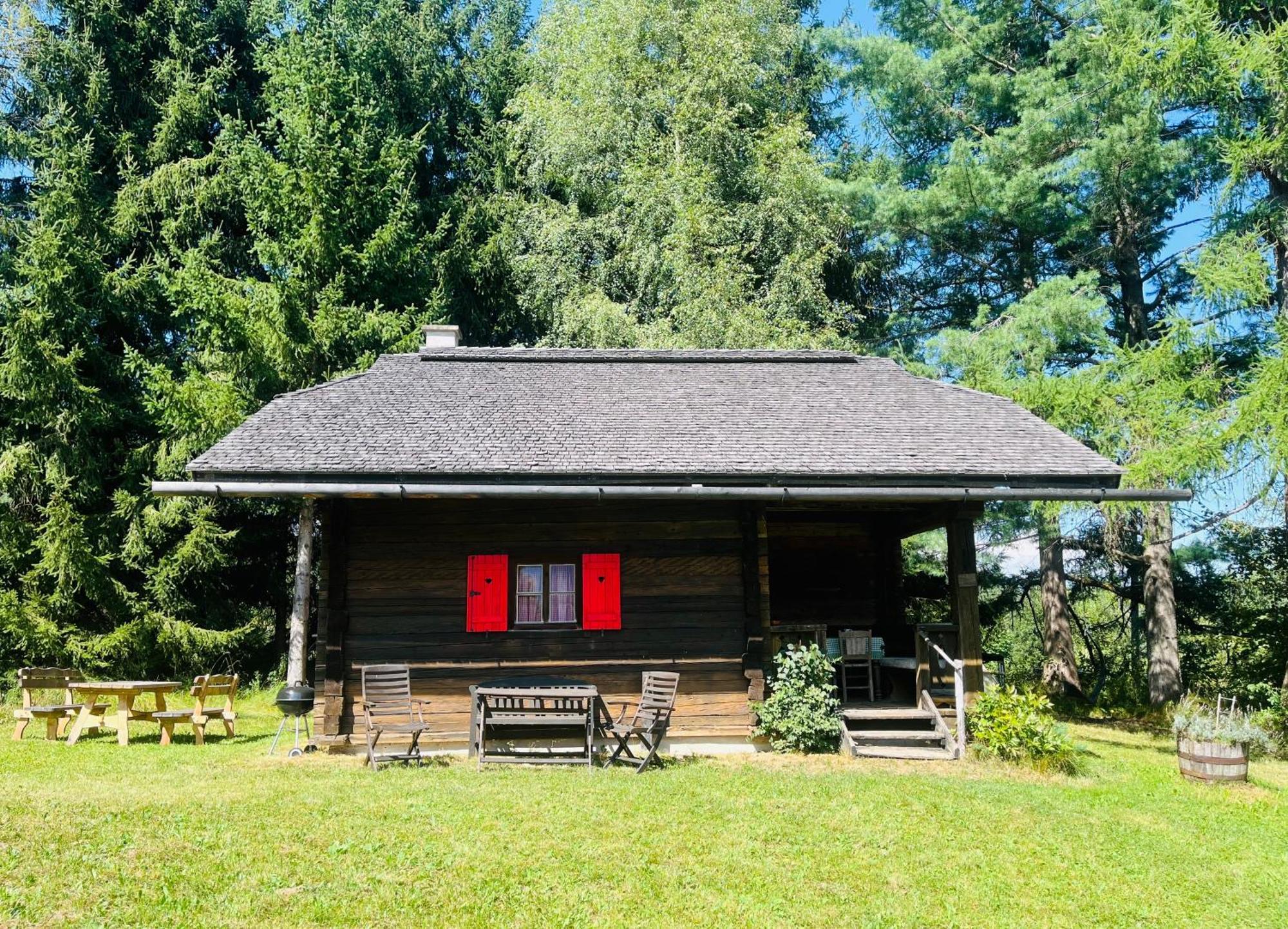 Cozy Log Cabin near Faaker See Ledenitzen Buitenkant foto
